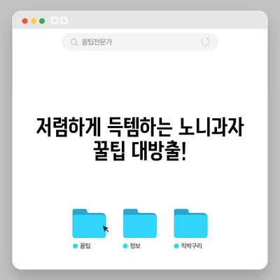 노니과자 가성비템 탐험! 꿀팁과 함께 득템하세요 | 노니과자, 가성비, 추천, 쇼핑