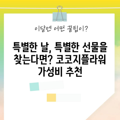 코코지플라워 가성비 아이템 추천| 갓성비 꽃 선물 찾는 당신을 위한 선택 가이드 | 코코지플라워, 꽃 선물, 가성비, 추천