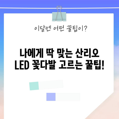 산리오 LED 꽃다발 가성비템 득템! 🎁 나에게 딱 맞는 아이템 고르는 꿀팁 | 산리오, LED 꽃다발, 선물, 가성비