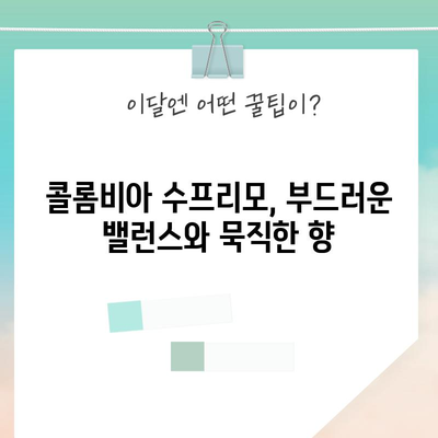 탐앤탐스 드립커피 성능 비교 분석| 어떤 원두가 당신의 취향에 맞을까? | 드립커피, 원두 추천, 커피 맛 비교