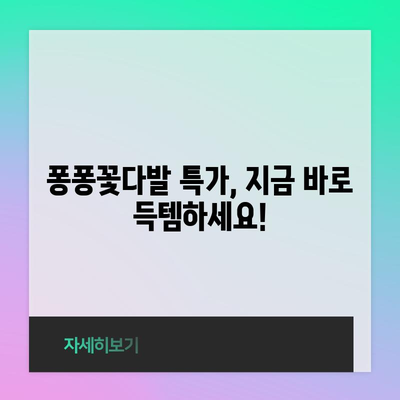 퐁퐁꽃다발 특별할인 비교! 어디가 가장 저렴할까요? | 꽃다발, 퐁퐁, 특가, 할인, 비교, 추천