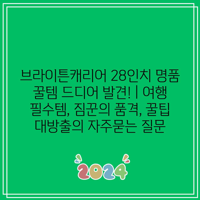 브라이튼캐리어 28인치 명품 꿀템 드디어 발견! | 여행 필수템, 짐꾼의 품격, 꿀팁 대방출