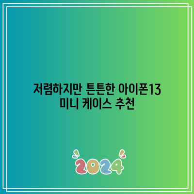 아이폰13 미니 케이스 가성비 꿀템 추천 | 튼튼함과 디자인, 가격까지 다 잡았다!