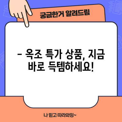 옥조 특가 상품 | 지금 바로 만나보세요!