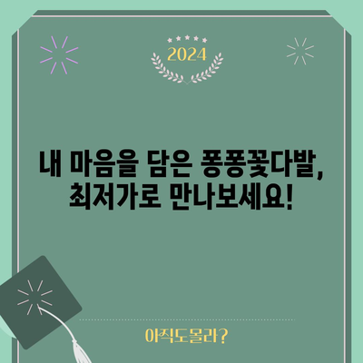 퐁퐁꽃다발 특별할인 비교! 어디가 가장 저렴할까요? | 꽃다발, 퐁퐁, 특가, 할인, 비교, 추천