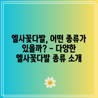 엘사꽃다발 성능 상품 비교분석| 당신에게 딱 맞는 최고의 선택은? | 엘사꽃다발, 성능 비교, 상품 추천, 선물