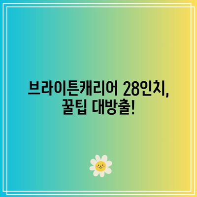 브라이튼캐리어 28인치 명품 꿀템 드디어 발견! | 여행 필수템, 짐꾼의 품격, 꿀팁 대방출