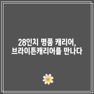 브라이튼캐리어 28인치 명품 꿀템 드디어 발견! | 여행 필수템, 짐꾼의 품격, 꿀팁 대방출