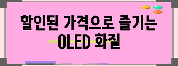 닌텐도스위치oled그레이 할인 제품 이네용