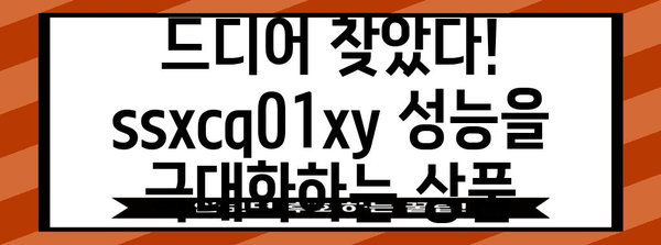 ssxcq01xy 성능 상품 드디어 발견