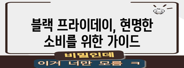 블랙 프라이데이 기간 동안 절대 놓칠 수 없는 쇼핑 꿀팁 | 블랙프라이데이, 쇼핑, 할인, 추천