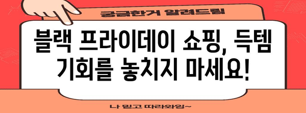 블랙 프라이데이 시즌 최고의 쇼핑 꿀팁| 놓치지 말아야 할 할인 정보 & 스마트 쇼핑 가이드 | 블랙프라이데이, 할인, 쇼핑, 팁, 가이드