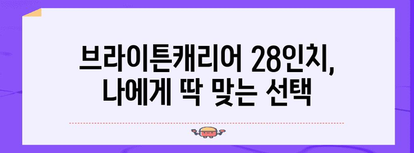 브라이튼캐리어28인치 명품 꿀템 드디어 발견