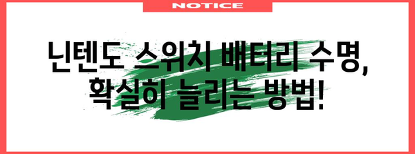 닌텐도스위치배터리 최고의 아이템 알려드릴께요