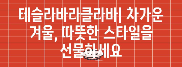 테슬라바라클라바 명품 물건 입니다