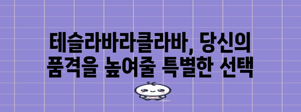 테슬라바라클라바 명품 물건 입니다