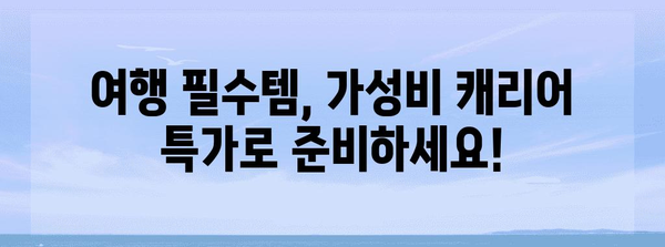 가성비캐리어 특가 제품 이네용