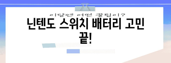 닌텐도스위치배터리 최고의 아이템 알려드릴께요