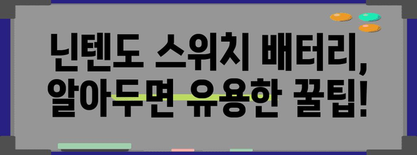 닌텐도스위치배터리 최고의 아이템 알려드릴께요