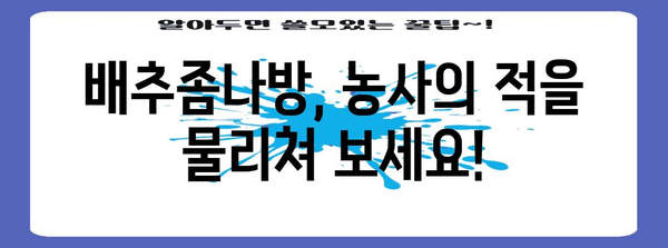 배추좀나방 박멸 가이드| 효과적인 방제 방법과 예방법 | 배추좀나방, 해충 방제, 친환경 방제, 배추 농사