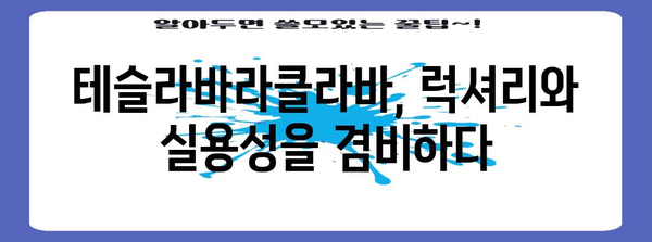 테슬라바라클라바 명품 물건 입니다