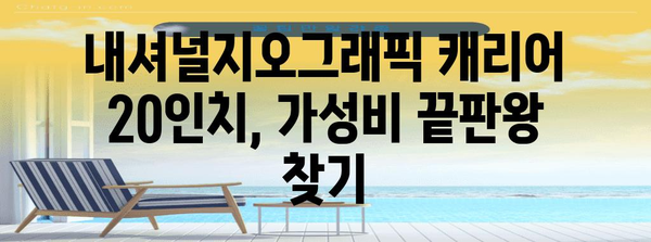 내셔널지오그래픽캐리어20인치 특별할인 비교 드디어 발견