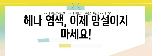 헤나염색 추천 순위 드디어 발견