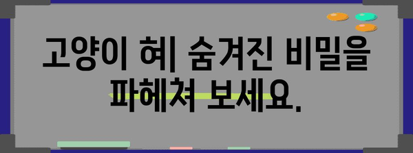 고양이 혀와 입 속의 비밀 | 특징과 기능 이해