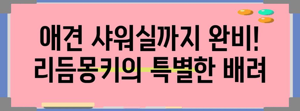 애견용 샤워실까지! 두정동의 애견 동반 브런치 카페 리듬몽키