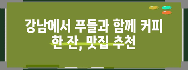 강남 애견 동반 카페 추천 | 푸들과 함께 즐거운 시간