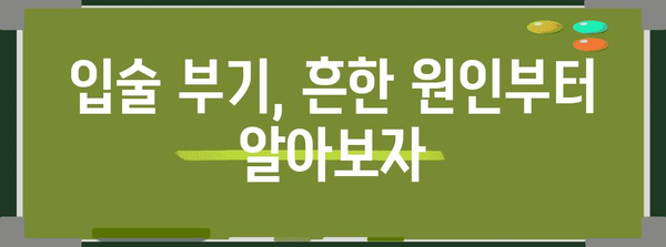 입술 부기 원인 파악과 병원 진료 기준 확립