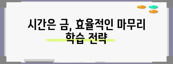 수능 나흘 앞, 마지막 4일 완벽 대비 전략 | 수능, 마무리 학습, 시간 관리, 효율적인 공부법