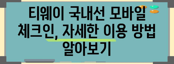 티웨이 국내선 모바일 체크인 방법 | 시간 절약과 편의를 위한 팁