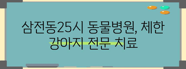 강아지 체한 뒤 | 삼전동25시 동물병원의 대처 노하우