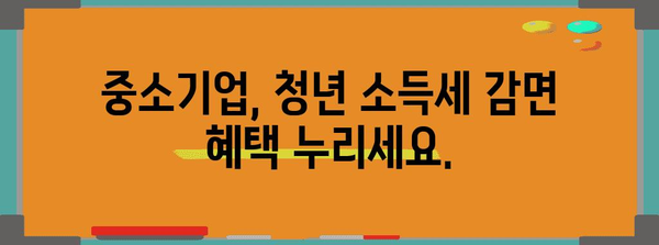 청년 소득세 감면 기한과 신청 안내 | 중소기업도 놓치지 마세요.