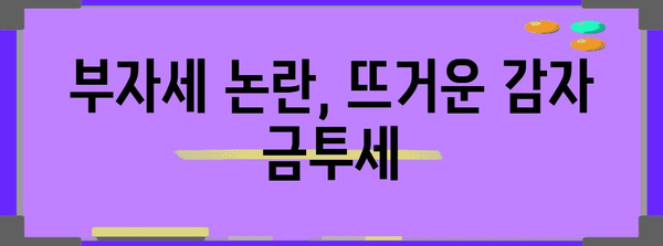 부자세에 주목한 세금 제도 | 금투세 논쟁 해부