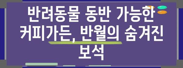 반월에서 반려견과 함께 시작하는 하루 | 커피가든 추천