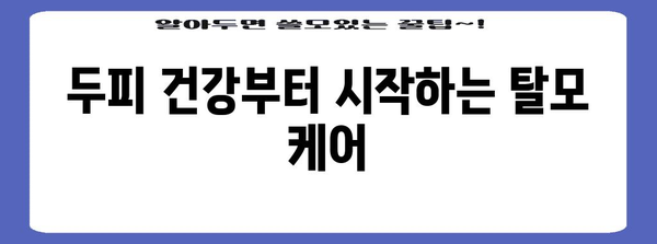 20대 여성 탈모 홈케어 | 두피 관리 팁