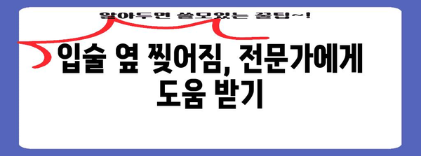 입술 옆 찢어짐 | 완전 치복 가이드