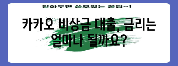 비상금 급할 때 카카오 비상금 대출 | 금리부터 신청법까지