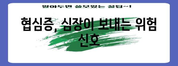 협심증 원인과 예방법 | 심장 건강 지키기