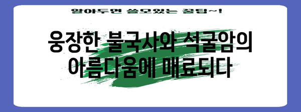 경주 여행 필수 코스 | 놓칠 수 없는 핵심 여행지와 액티비티