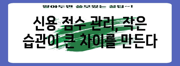 신용 점수 800 유지하기 | 재테크 핵심