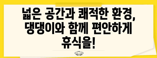 애견 달리기 후 피로 회복 맛집 | 강남 추천 카페 5곳