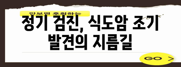 식도암 초기 증상 이해하기, 조기 발견 및 예방을 위한 지침