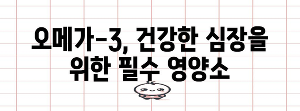 오메가-3로 심혈관 건강 지키기 | 놀라운 효능과 섭취 방법