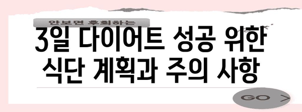 3일 다이어트로 성공적 체중감량 | 간편 식단과 효과적 팁