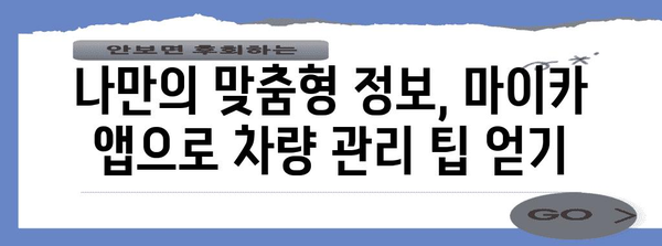 스마트하게 관리하는 신한 마이카 앱 가이드