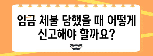 임금 체불 피해 신고 절차, 알바·프리랜서도 꼭 알아야