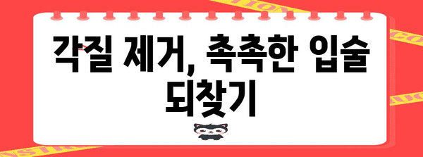 아름다운 입술 관리 법 | 따가움 해결과 각질 개선